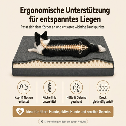 PIDU – Orthopädisches Hundebett